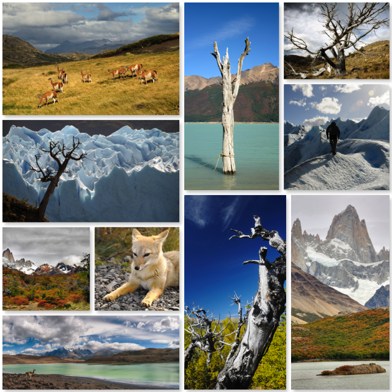 My Trip to Argentina and Patagonia